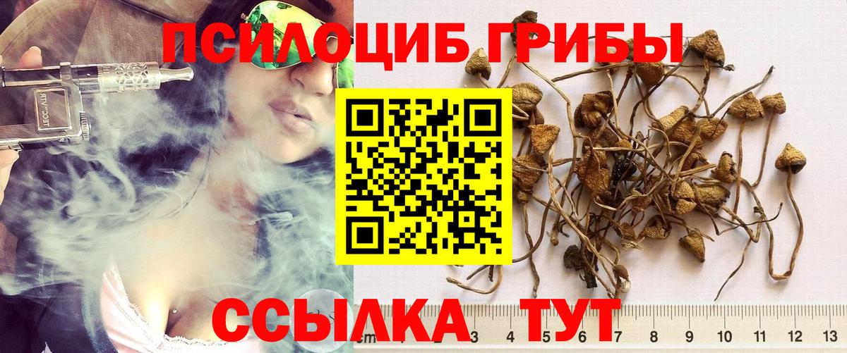 цены наркотик  Псилоцибиновые грибы Magic Shrooms  Вход с VPN  Десногорск 